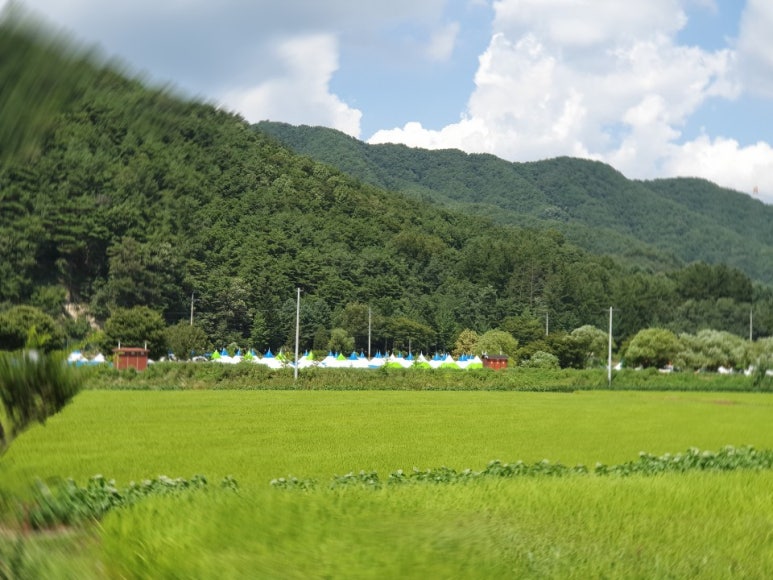 창대렌탈 이미지