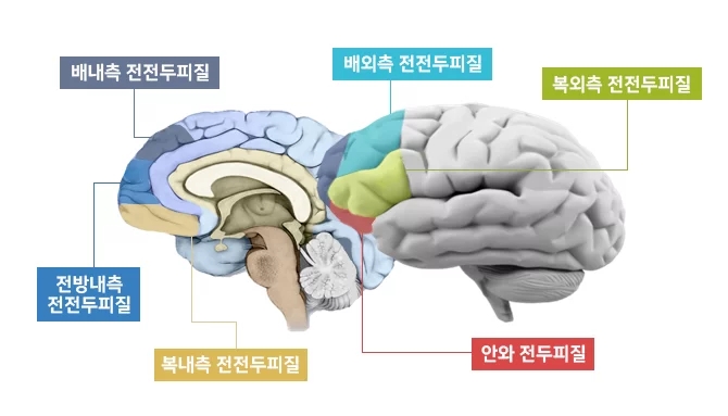 고신대학교복음병원 이미지