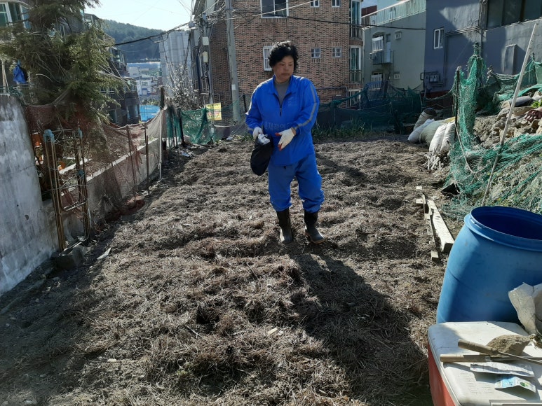 미정이집 이미지