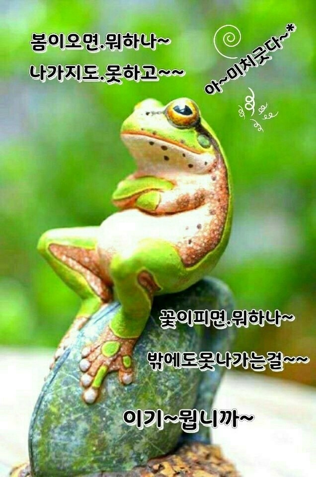 연화한지공예 이미지