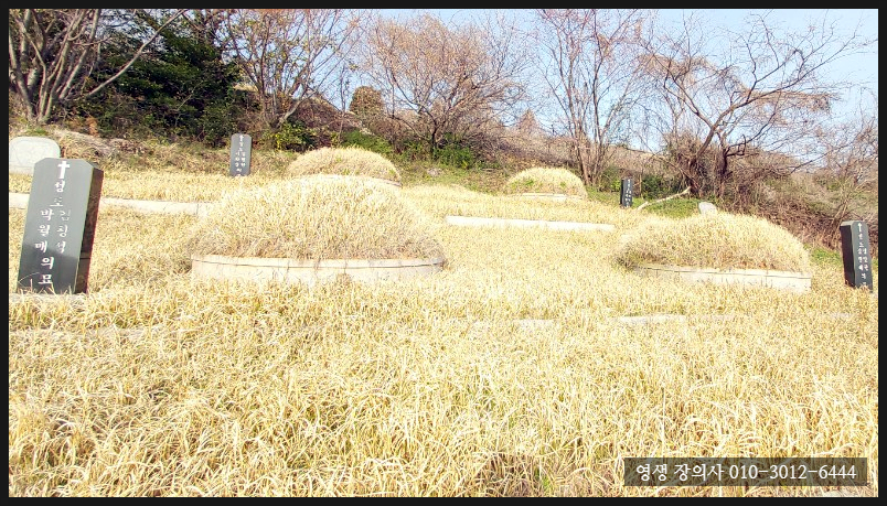 순천장의사 이미지