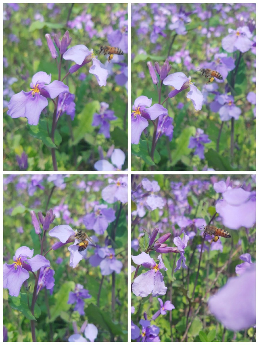 백산상회 이미지
