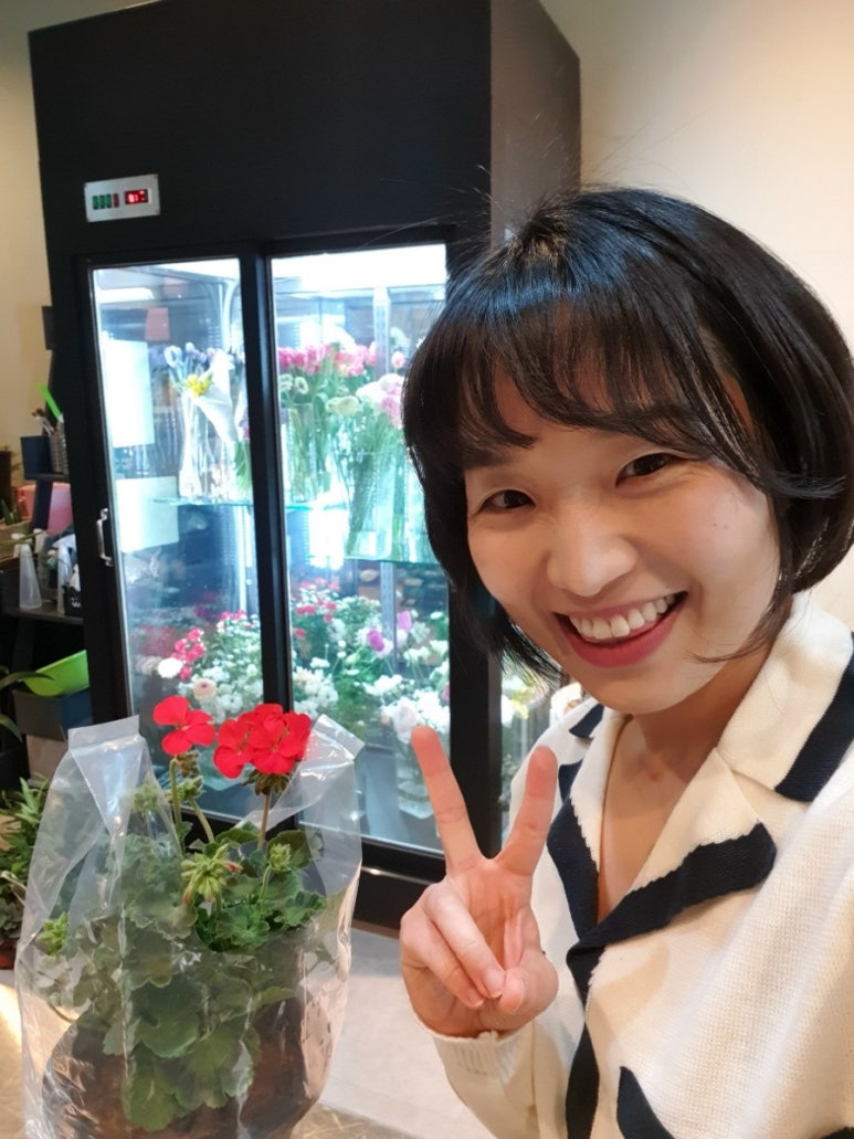 엘르드 이미지