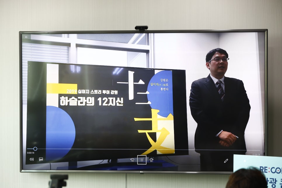 플라잉 피그 이미지