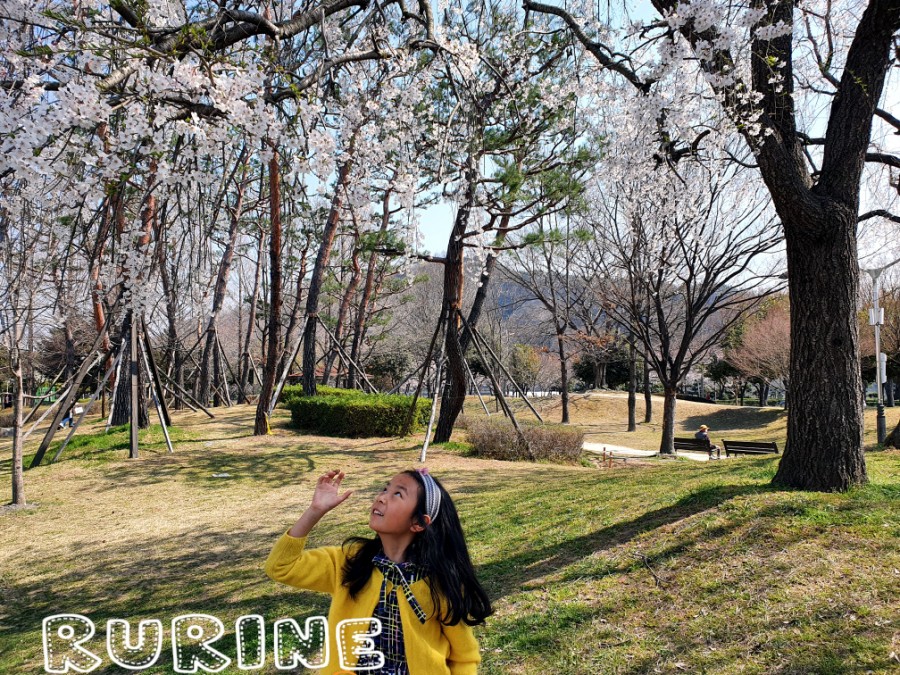 우송한우국밥 이미지