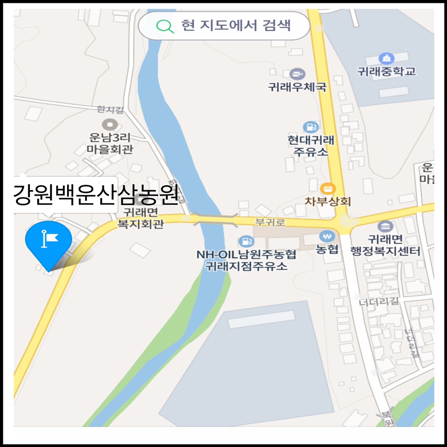 강원백운산삼농원 이미지