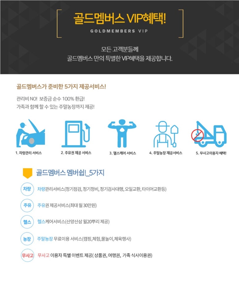 골드카 이미지