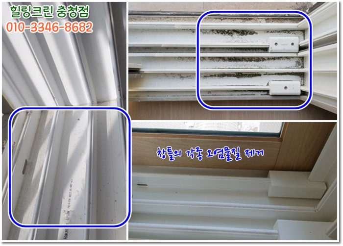 신한크린 이미지