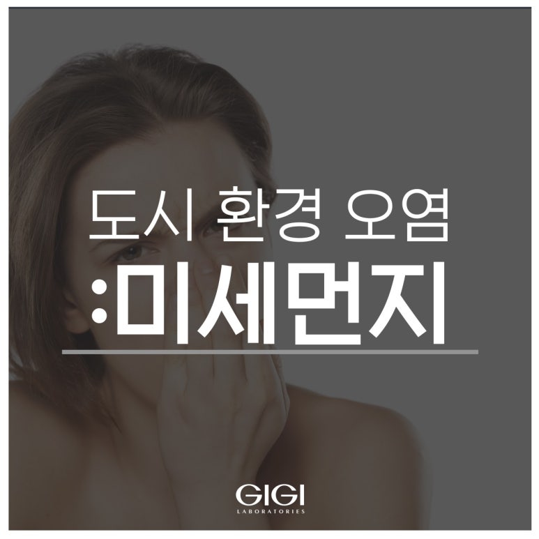 지지살롱 이미지