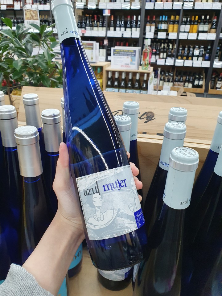 아술(AZUL) 이미지