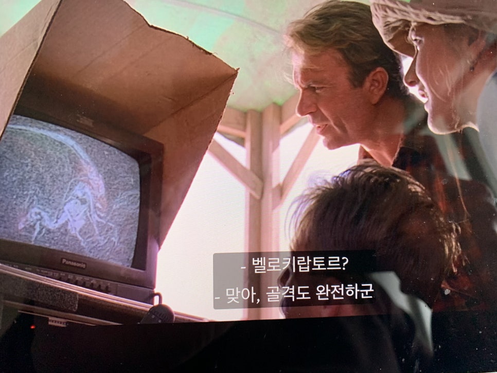 벨로시A 이미지