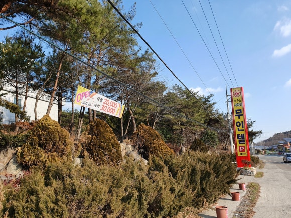 사파리모텔 이미지