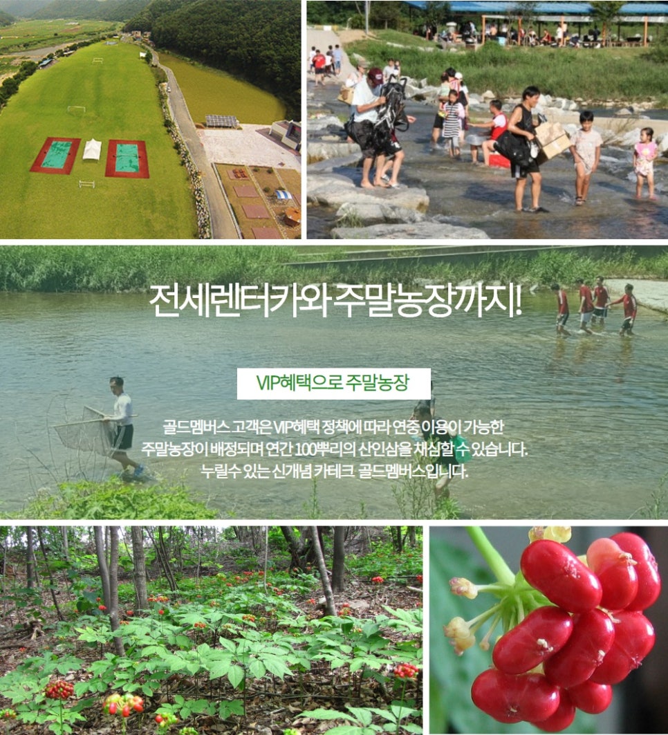 골드카 이미지