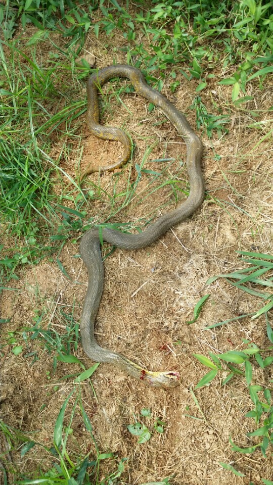 이송유통 이미지