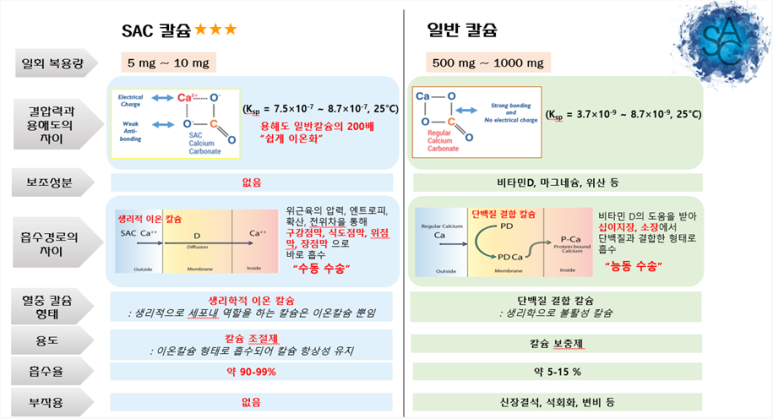 섹칼슘 이미지