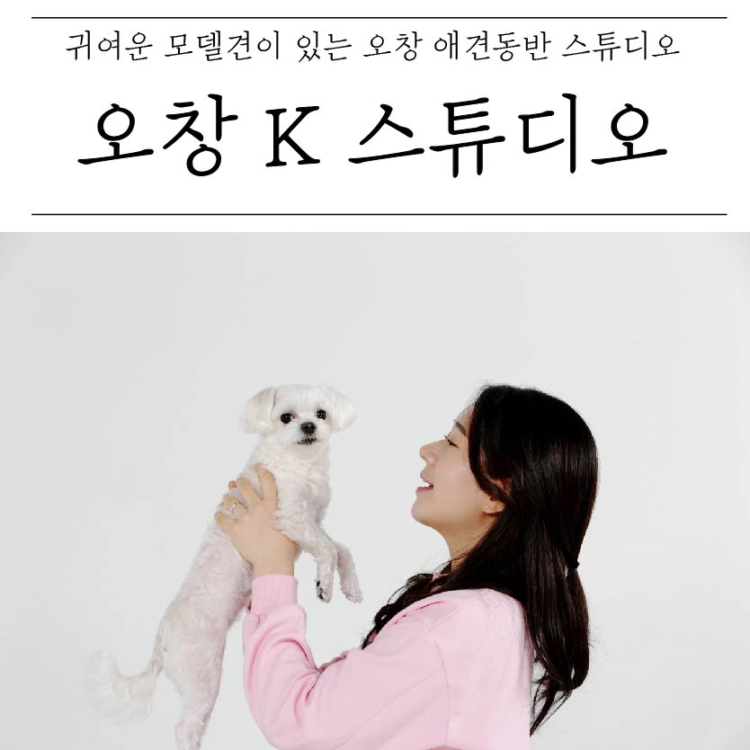 오창사진관 이미지