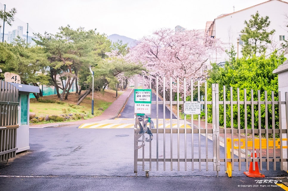 개성고등학교 이미지