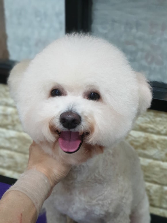 앵두미용실 이미지