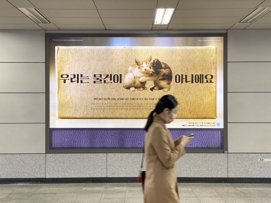 모아광고디자인 이미지