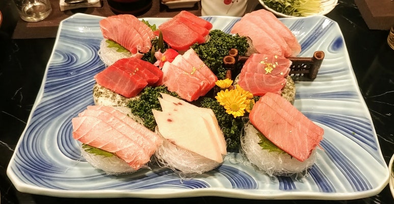 와참치 이미지