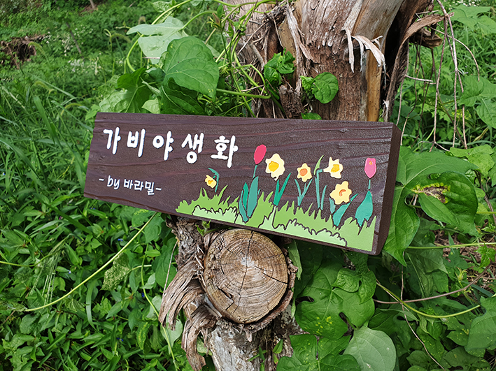 가비야생화 이미지
