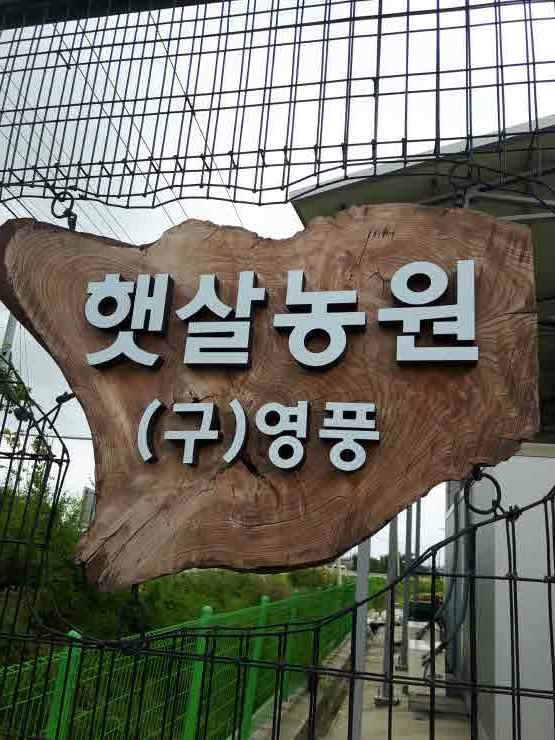 햇살농장 이미지