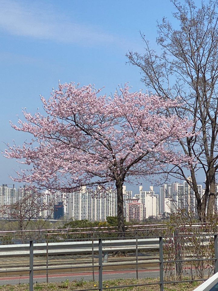 바름에듀 이미지