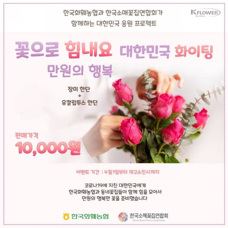 수요일꽃집 이미지