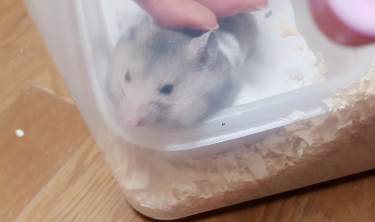 찍 이미지