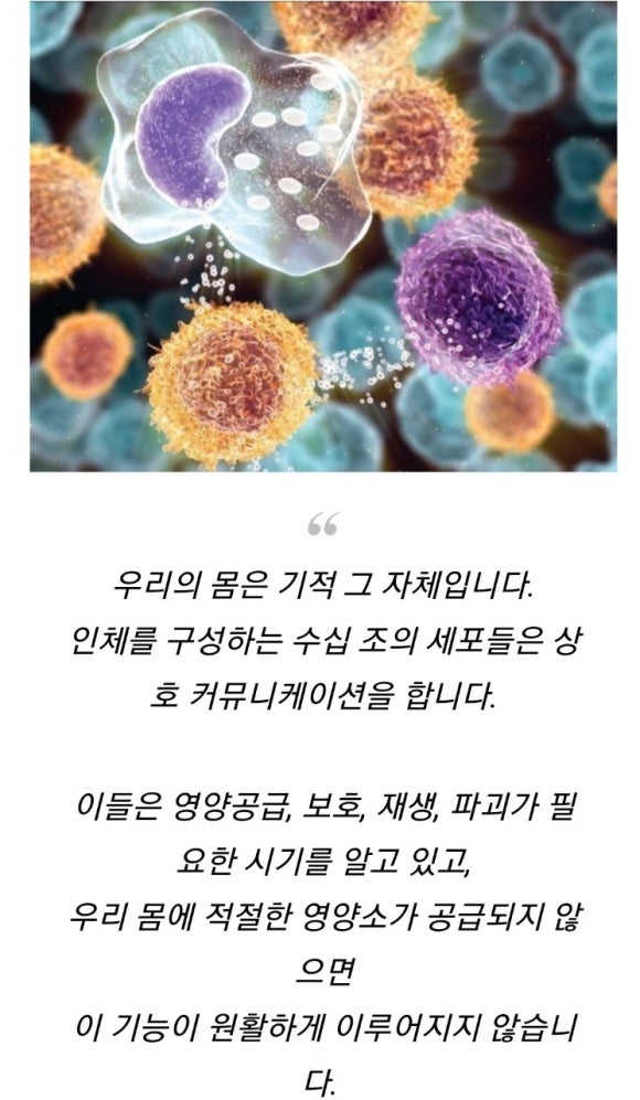에이에스디 이미지