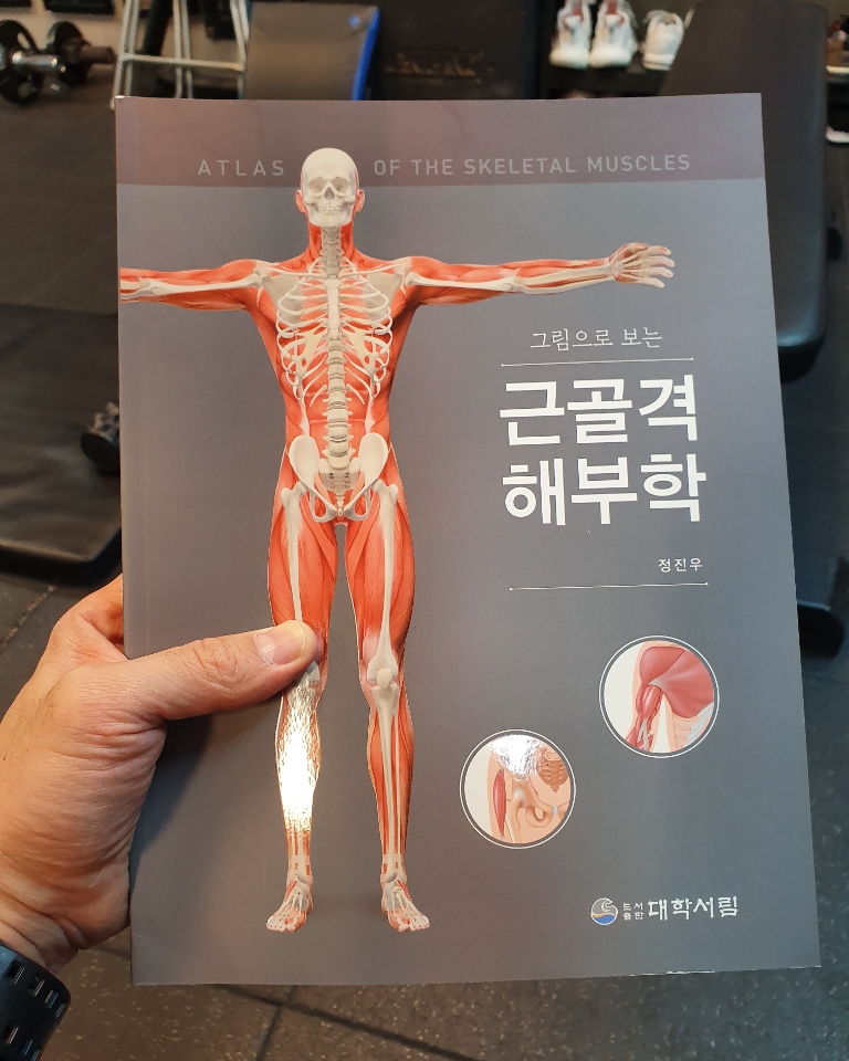 오리좋아 이미지