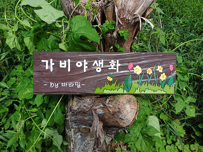 가비야생화 이미지
