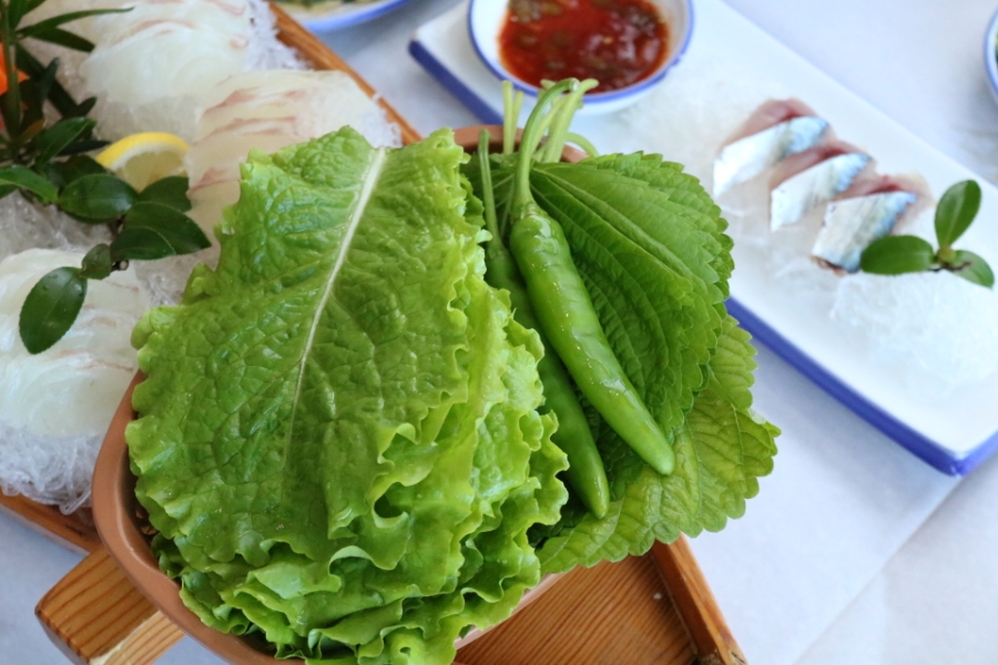 회조아 이미지
