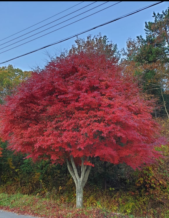 삼양수산 이미지
