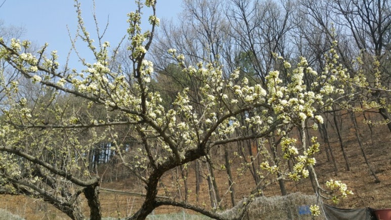 서우엔지니어링 이미지