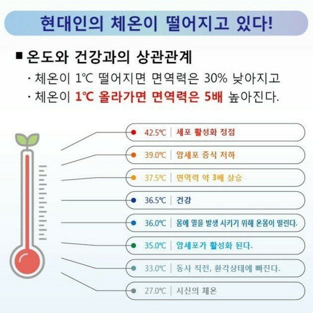 로틸리아 이미지