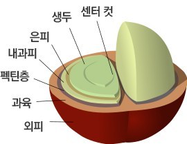 유인커피 이미지