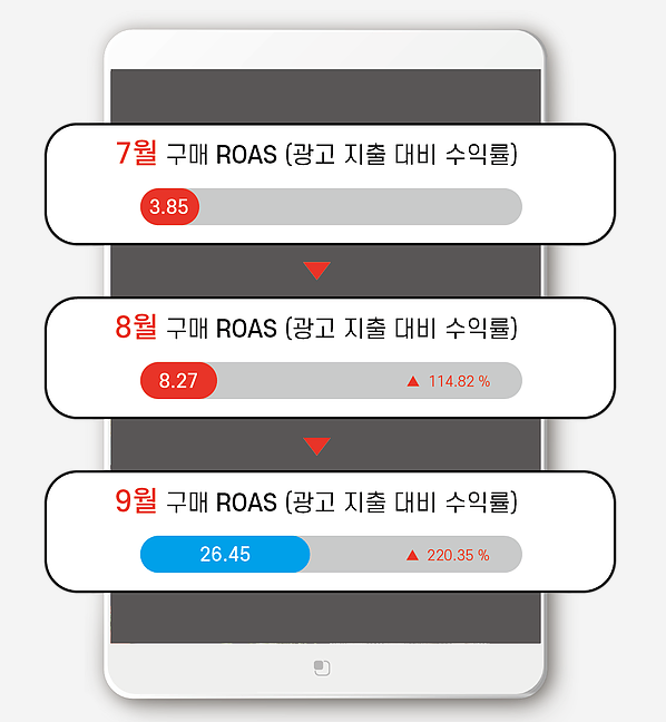 로아스마케팅 이미지