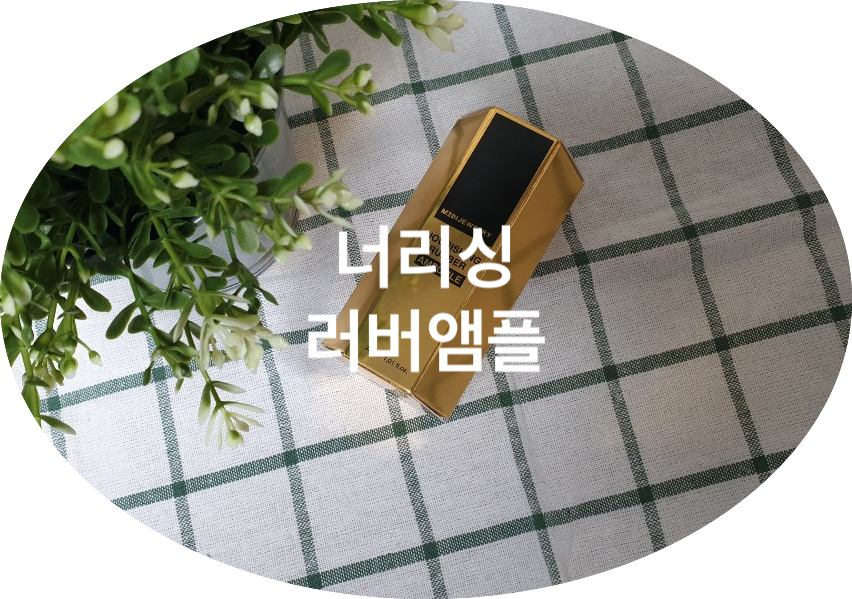 에스티제이 이미지
