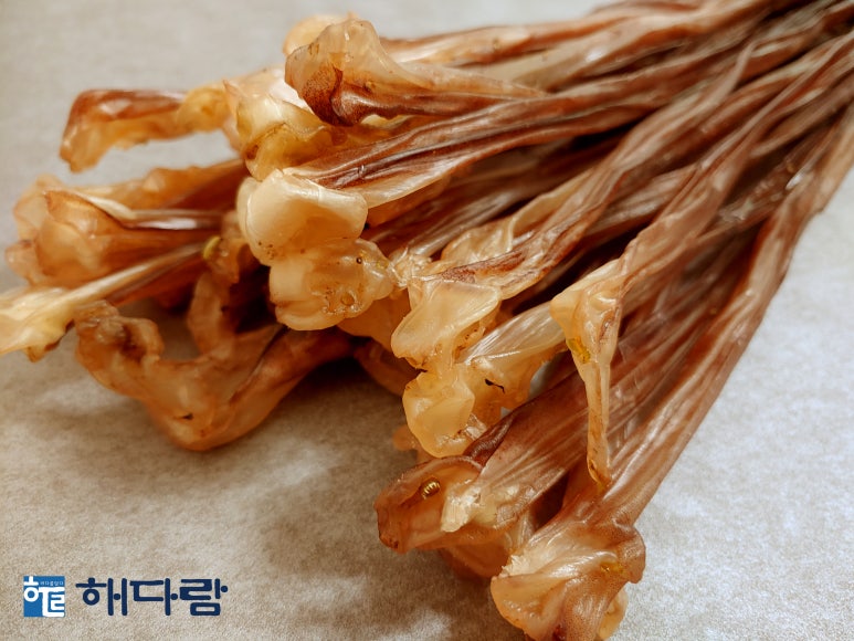해다람 이미지