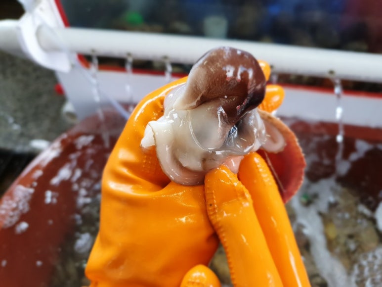 송산횟집 이미지