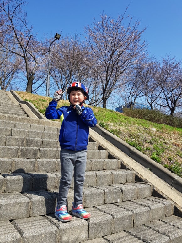 선진주 이미지