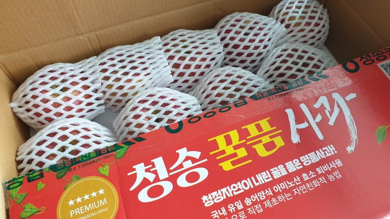 유애플 이미지