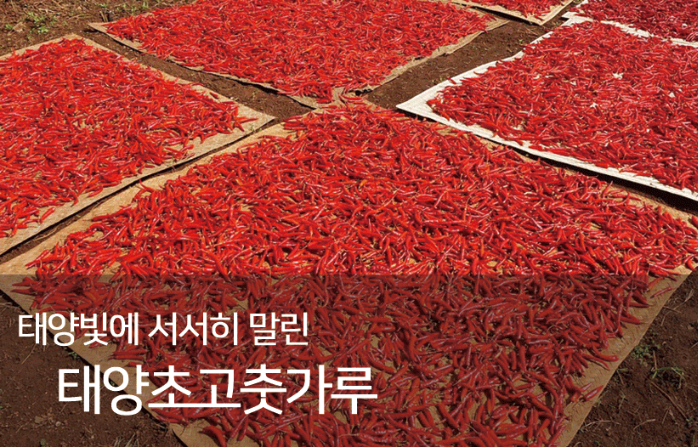 연두상회 이미지