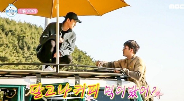 (주)떠날래요 이미지