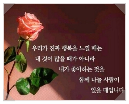 에스와이스토리 이미지