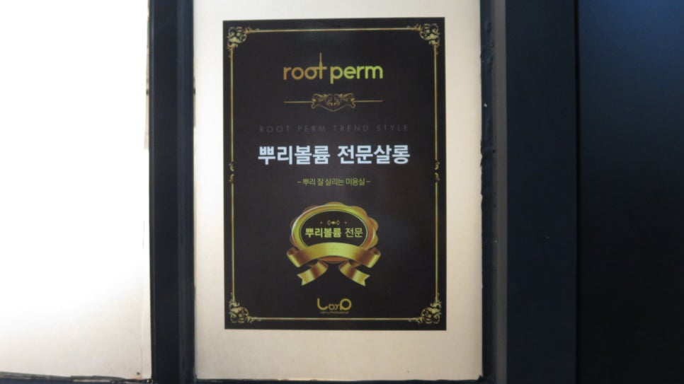 살롱드엘 이미지