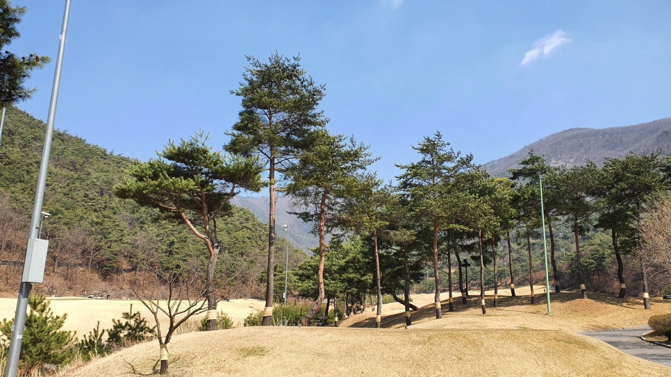 스토리골프 이미지