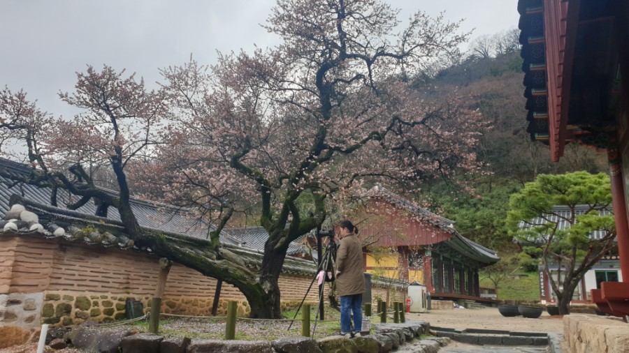 양지식당 이미지