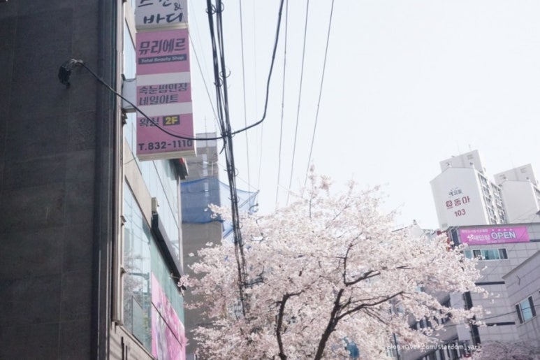 뮤리에르네일 이미지